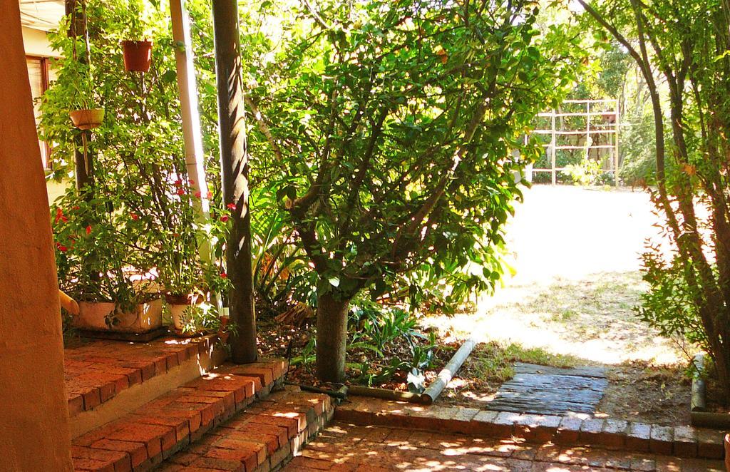 Vineyards Country Home Guest Room Blomtuin 외부 사진